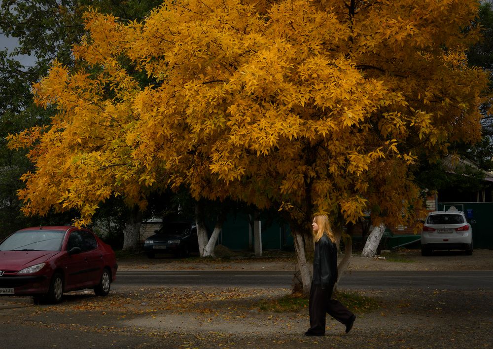 Photograph by Владимир Кваша