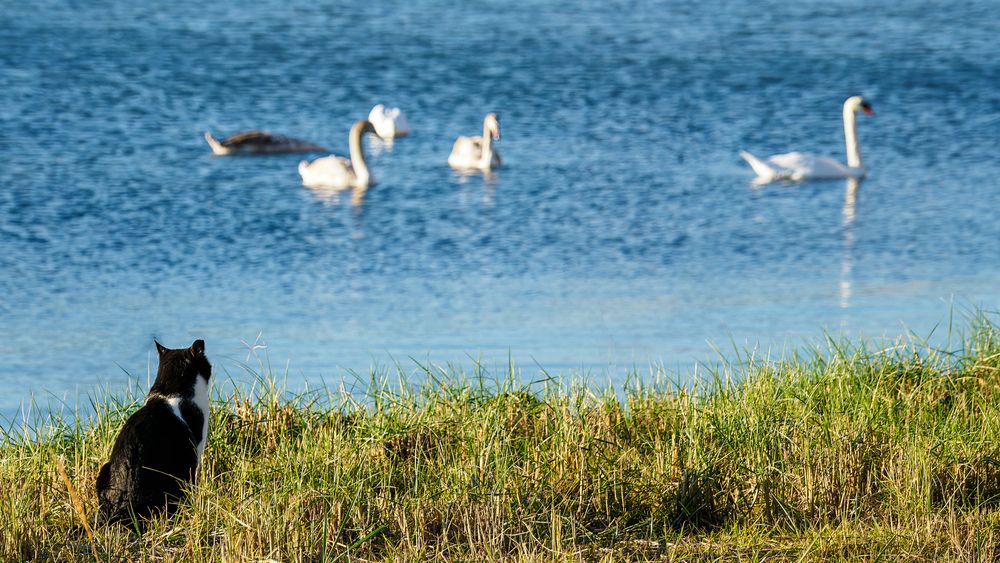 Photograph by Сергей Шишмарин