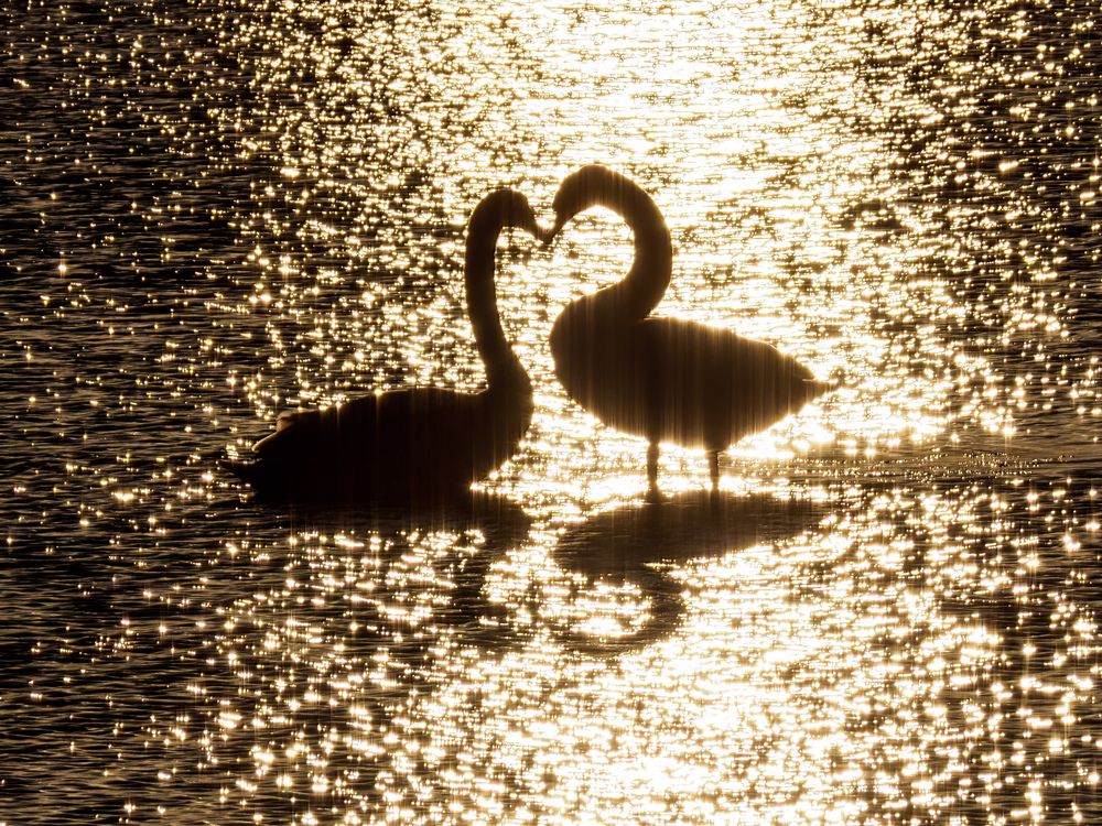 Photograph by Сергей Шишмарин