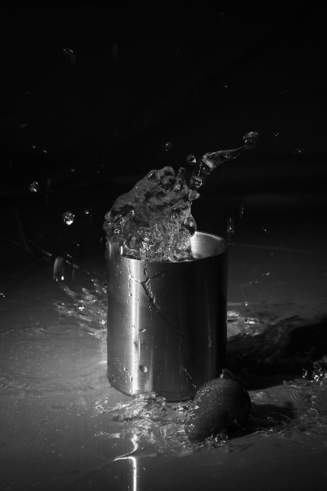 Photograph by Susie Castellano