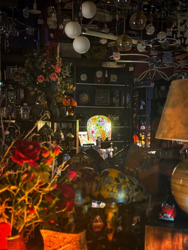 Photograph by Anna STANKEVICH