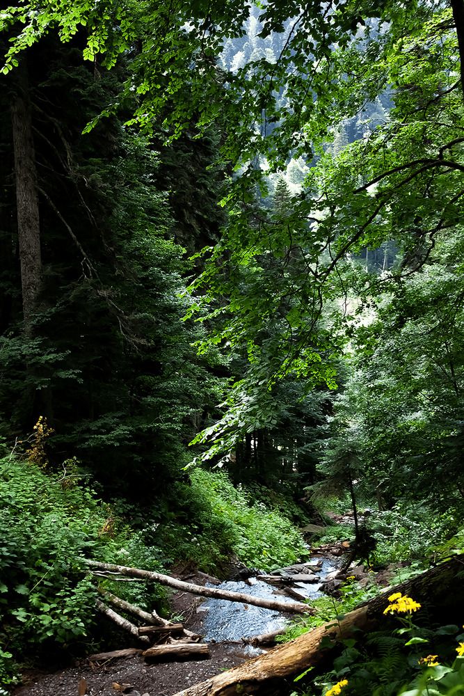 Фотография автора Георгий Машкин
