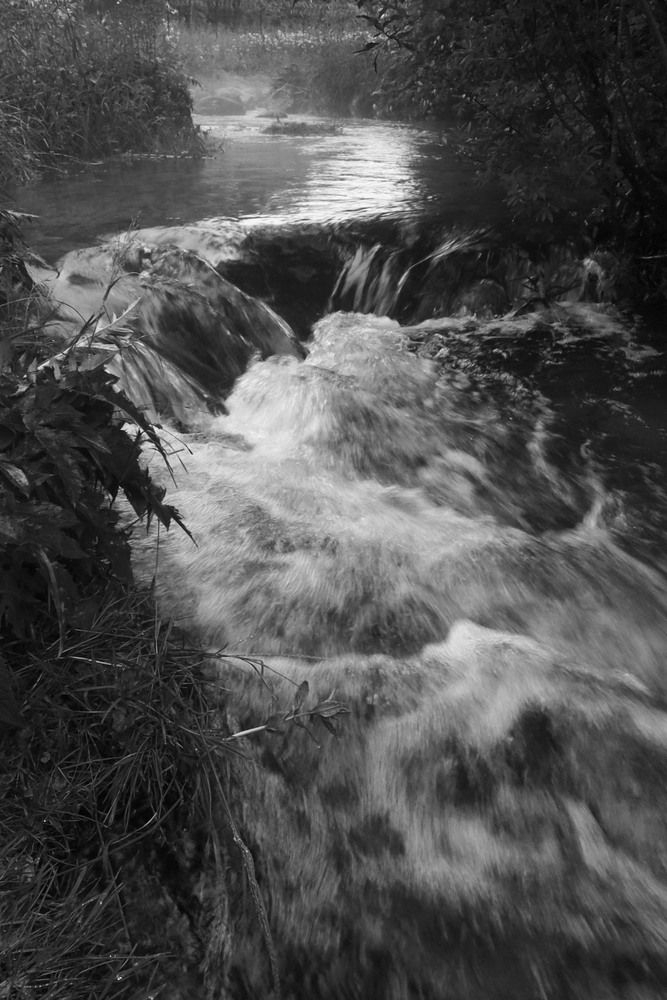 Photograph by Марианна Браун