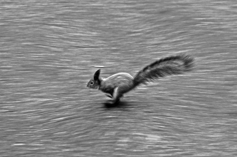 Фотография автора Антип