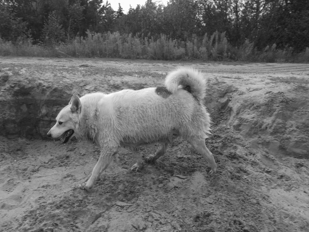 Фотография автора Клавдия Васильева