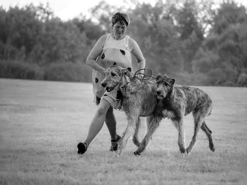 Photograph by Людмила Бандурина