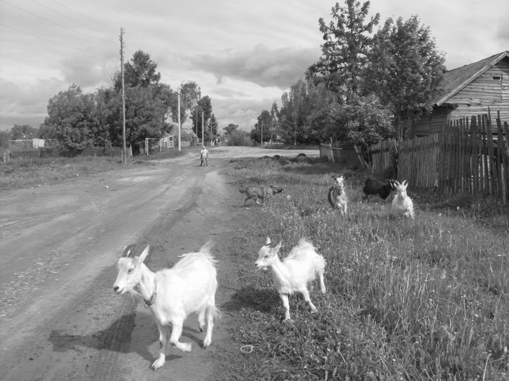 Фотография автора Клавдия Васильева