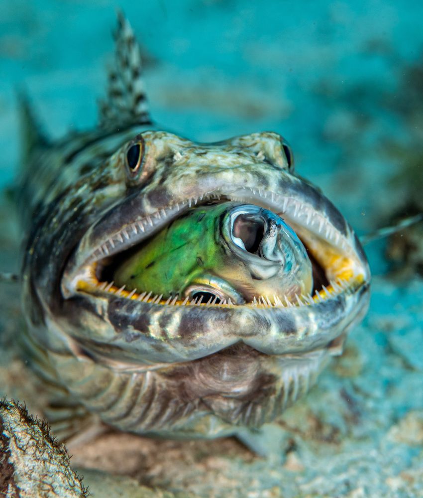 Photograph by Magali Márquez