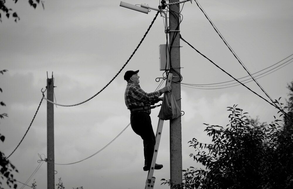 Photograph by Михаил Косолапов