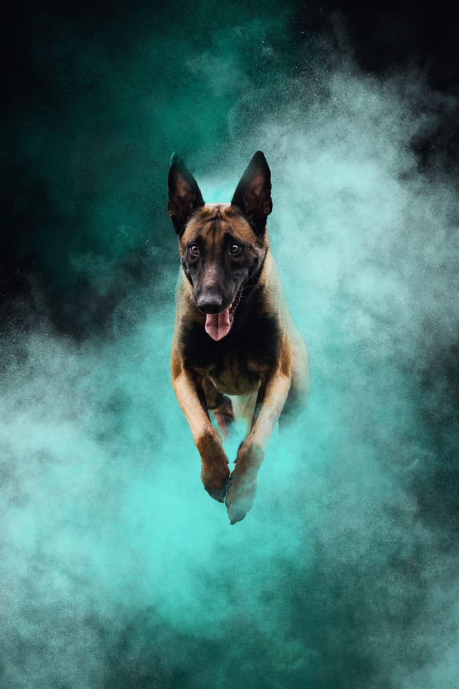 Photograph by Daria Koksharova