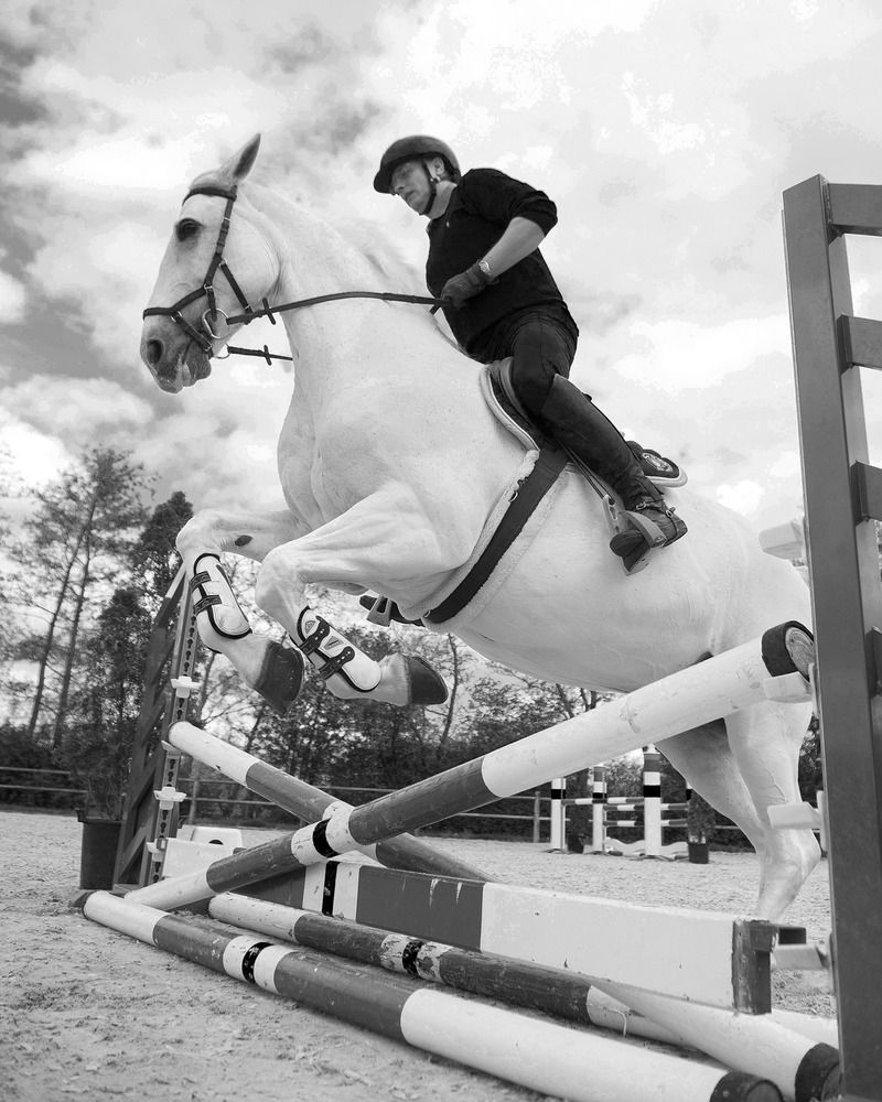 Concours hippique