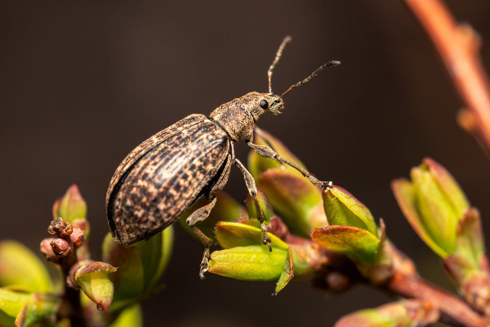 Фотография автора Миша Усольцев