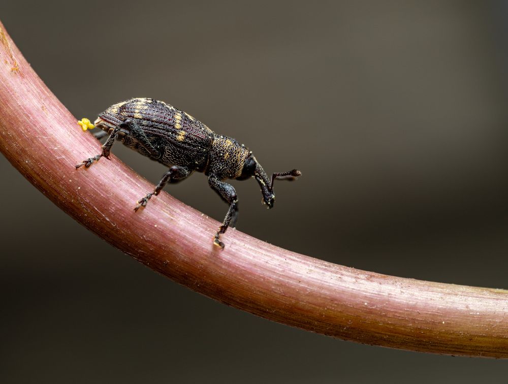 Photograph by Миша Усольцев