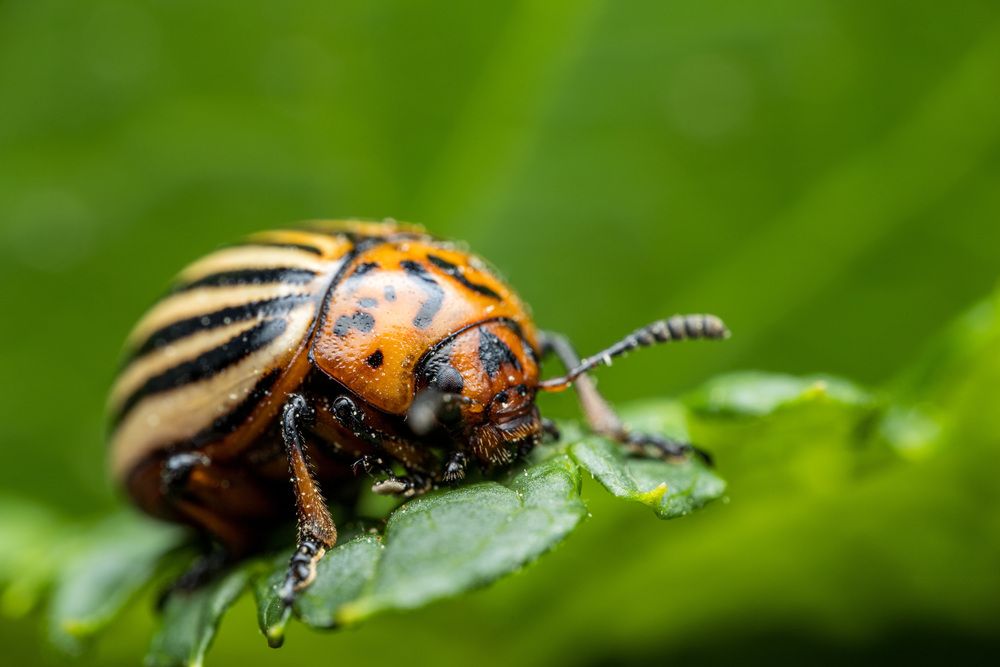 Фотография автора Миша Усольцев