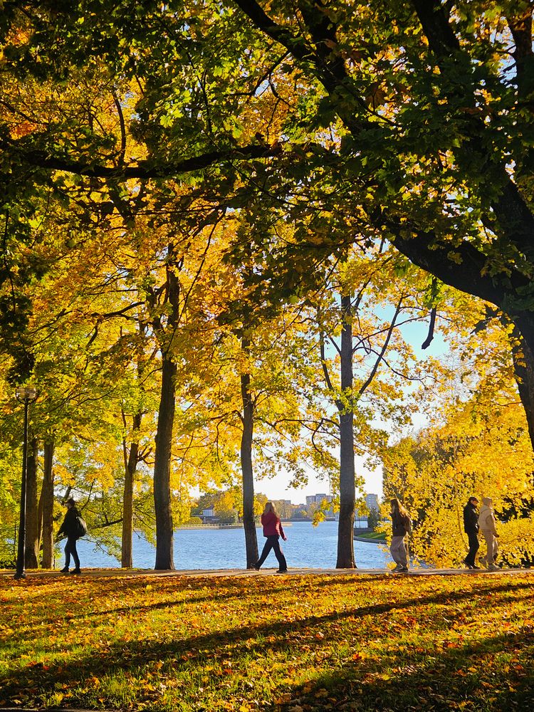 Photograph by Кристина Альшанская