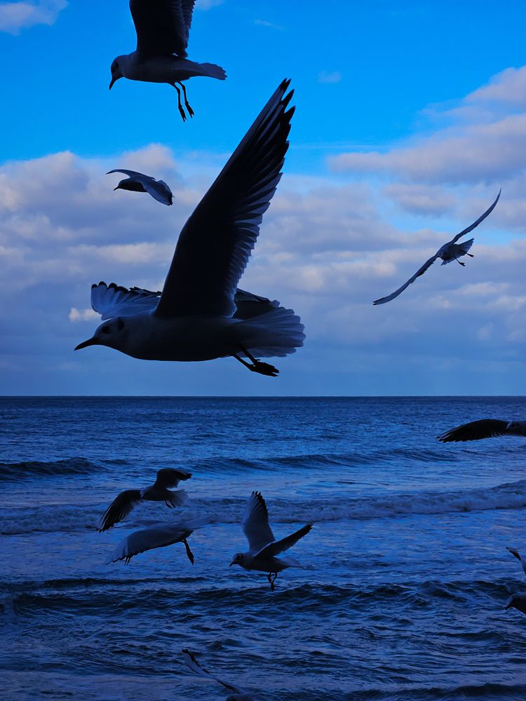 Фотография автора Кристина Альшанская