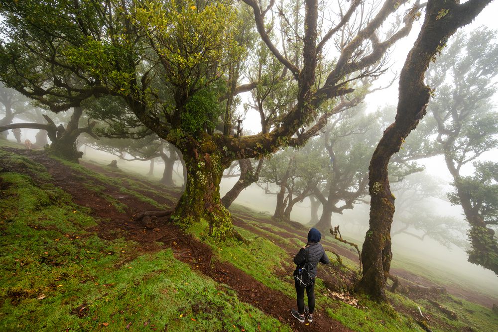 Photograph by Ivars Andrups