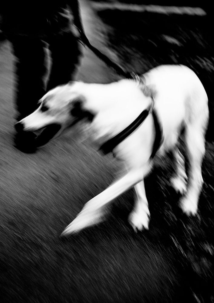 Photograph by Zeljko Grganic