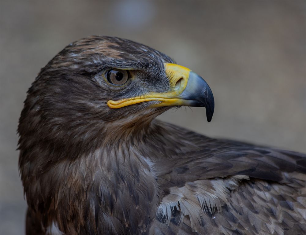 Photograph by Екатерина Позднякова