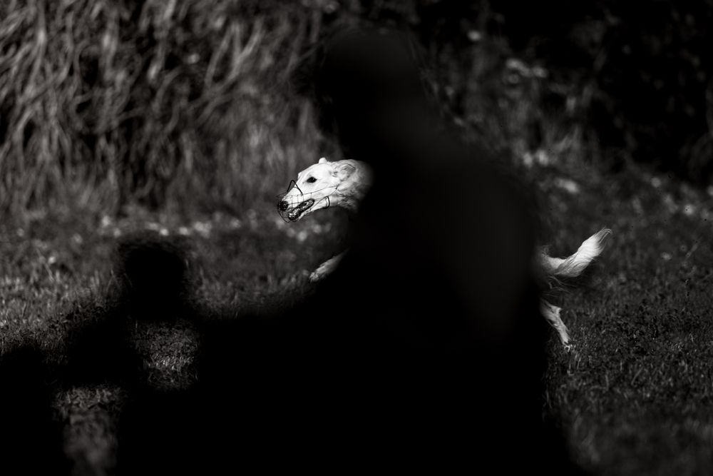 Фотография автора Simone Iaria