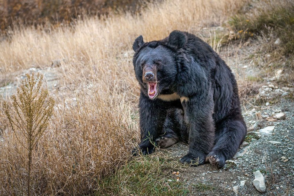 Photograph by Юрий Михайлович Головкин