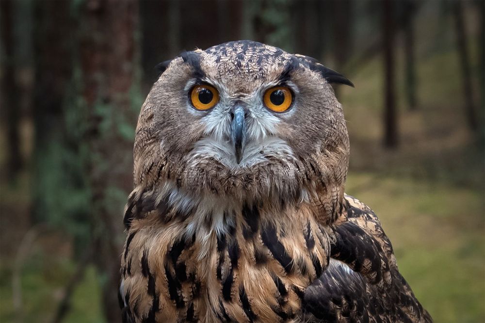 Photograph by Юрий Михайлович Головкин