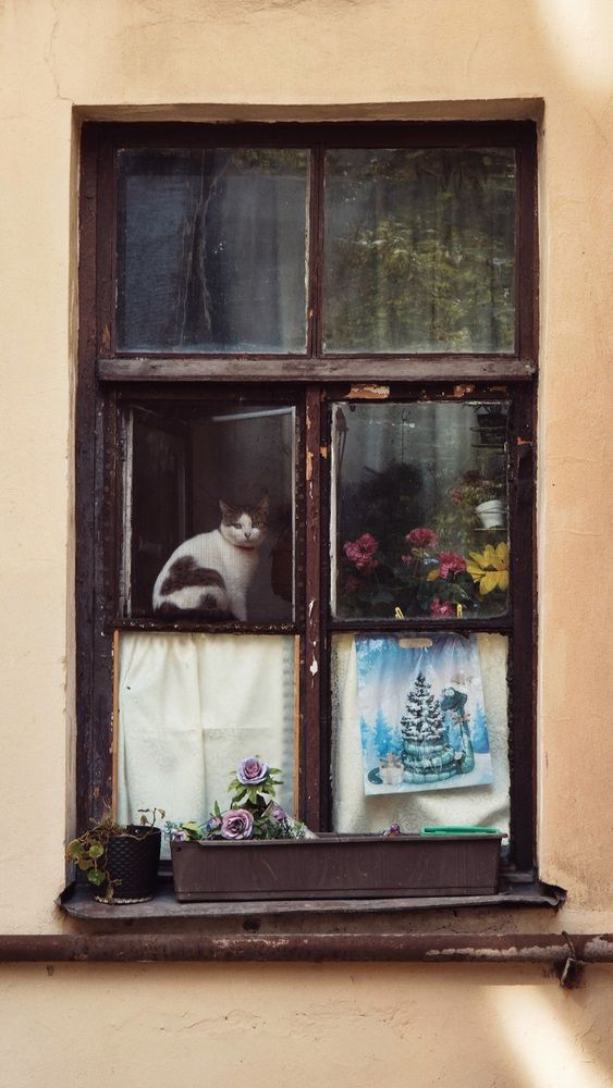 Photograph by Элина Нерсесова