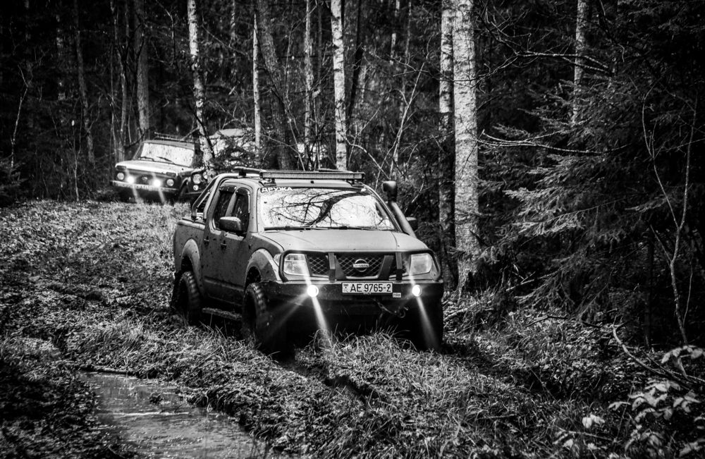 Photograph by Марина Криштопова