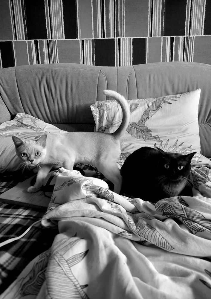 Photograph by Александр Житник