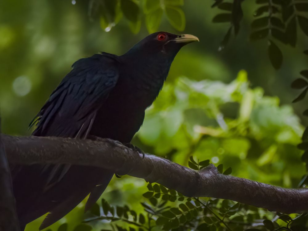 Photograph by WONG ADVENTURE