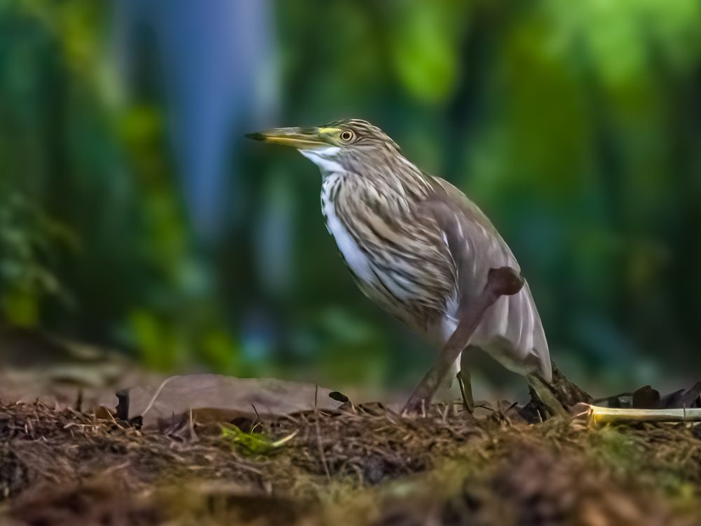 Photograph by WONG ADVENTURE