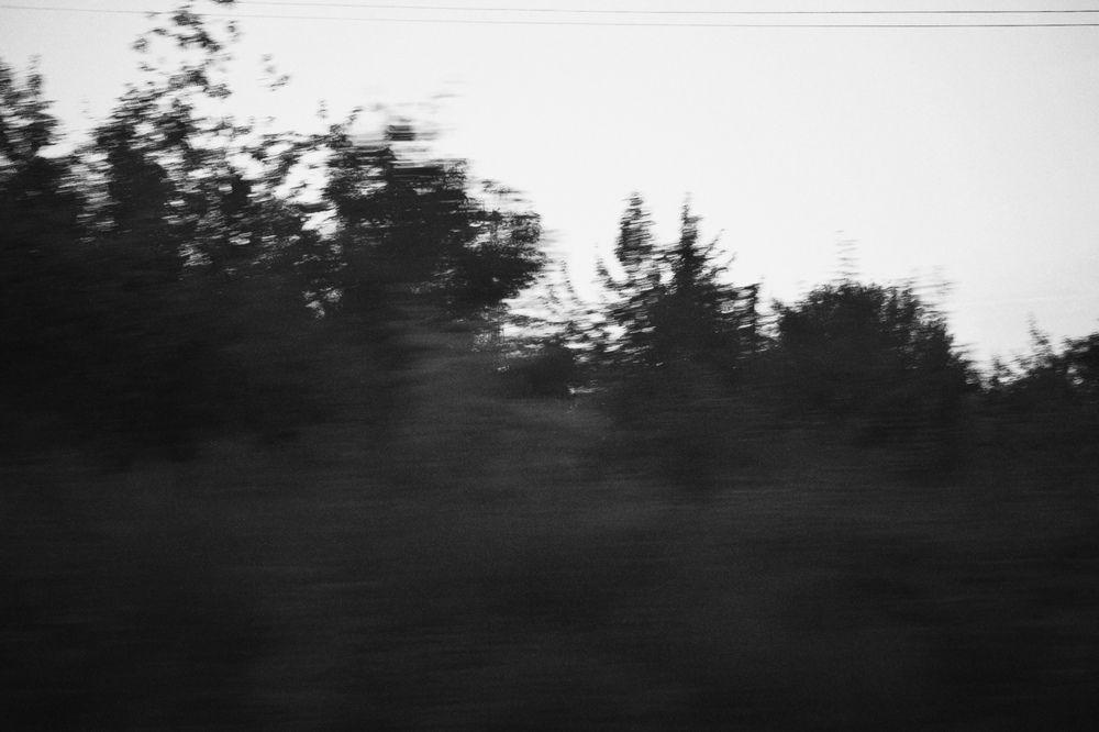 Photograph by Elvira