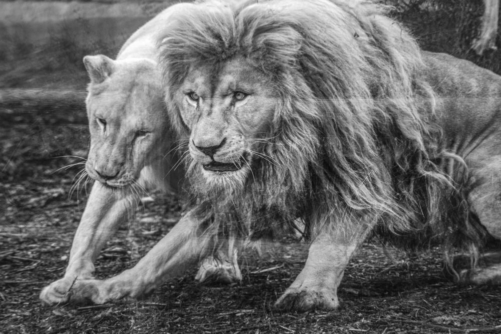 Photograph by Антон Гаврилов