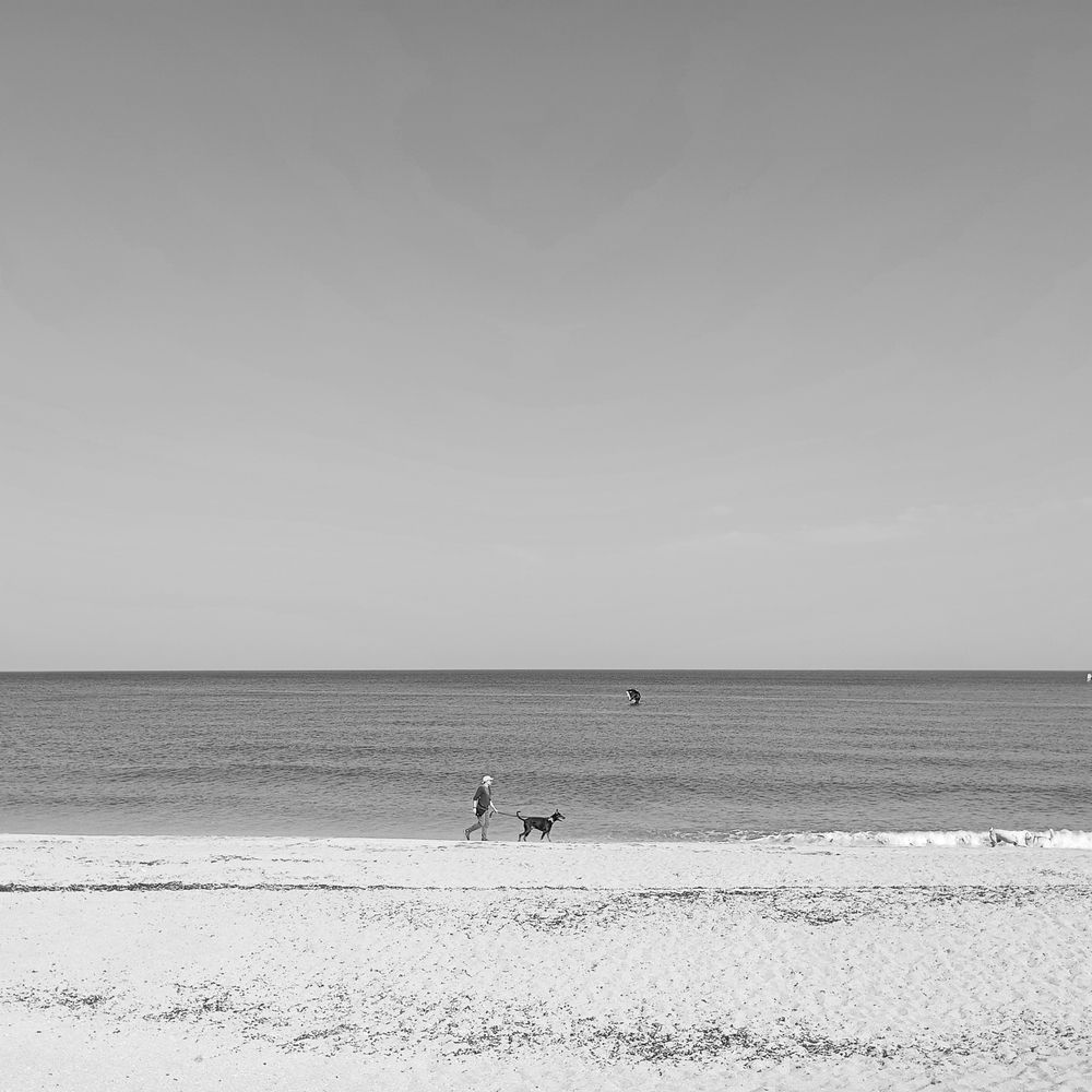 A walk with a friend