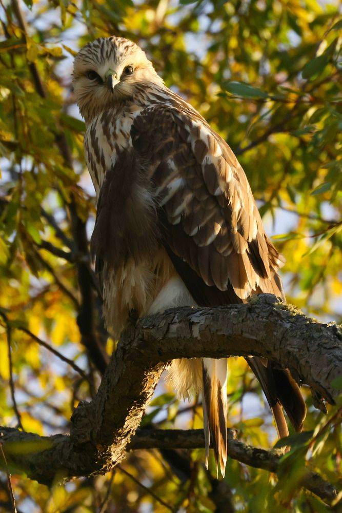 Фотография автора Юлия Егорова