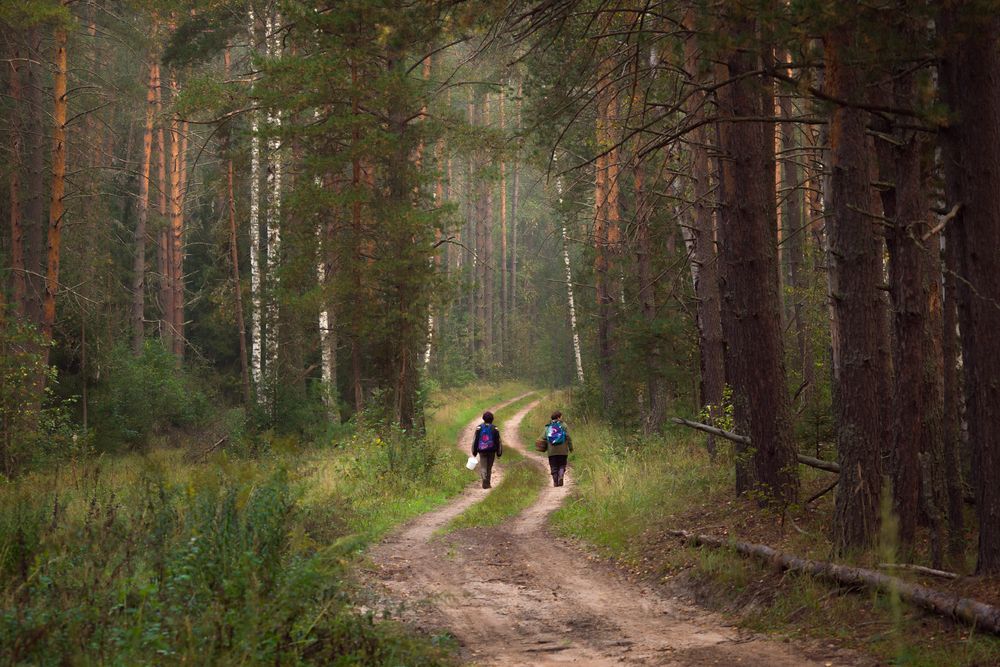 Photograph by Алексеев Дмитрий
