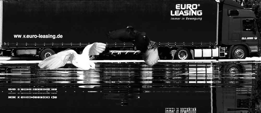 Фотография автора Hvabek Kim