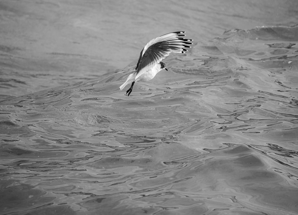 Photograph by Claudio Gutiérrez Vásquez