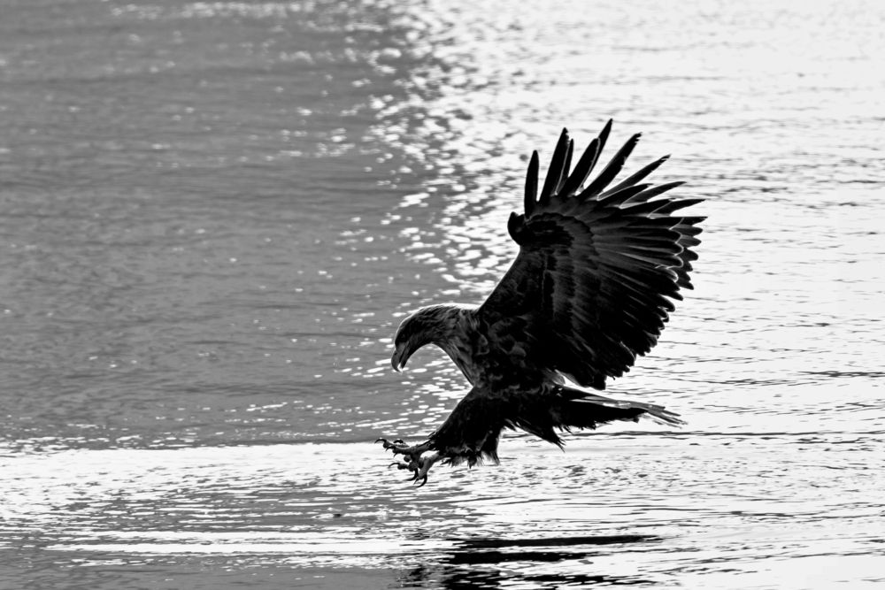 Photograph by Константин Тучин