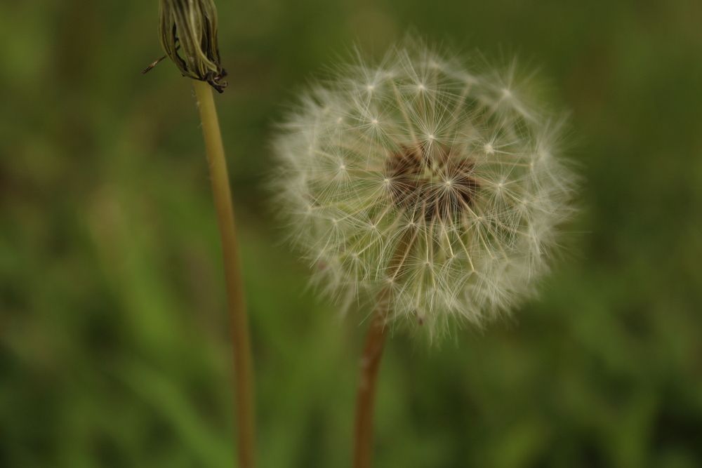 Photograph by Юлия