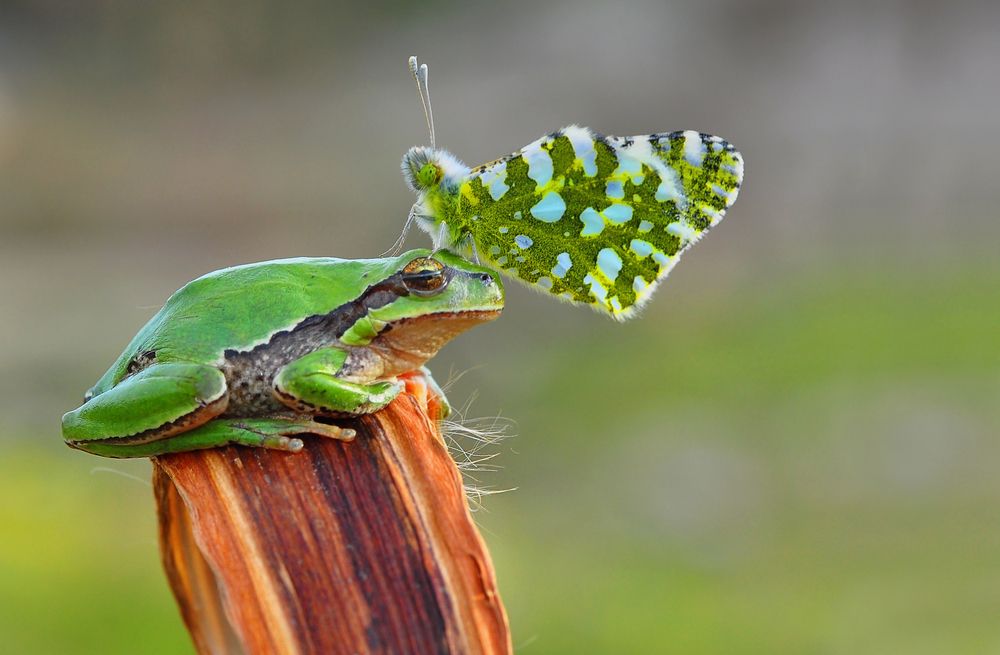 Photograph by Mustafa Öztürk