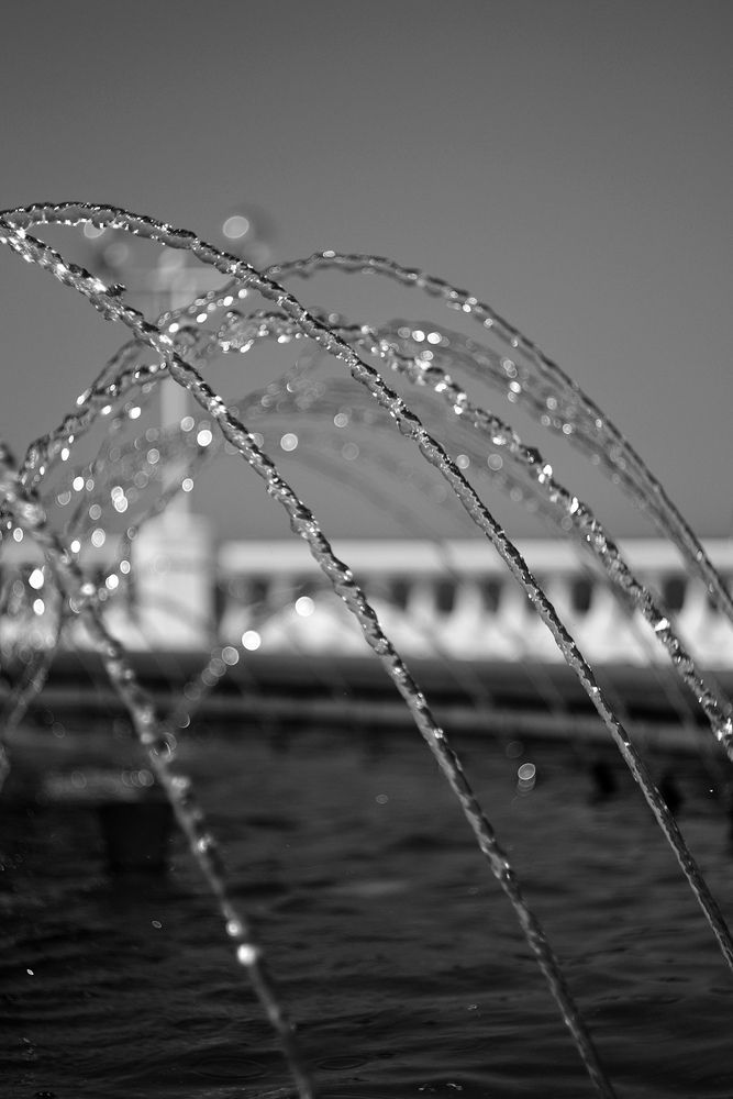 Photograph by Magic Helios