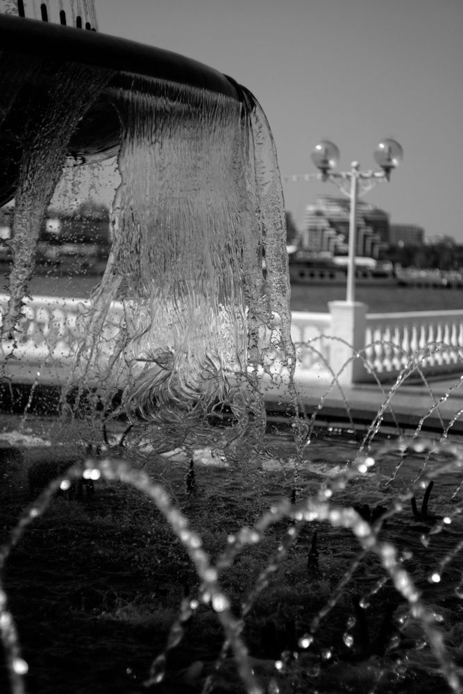 Photograph by Magic Helios