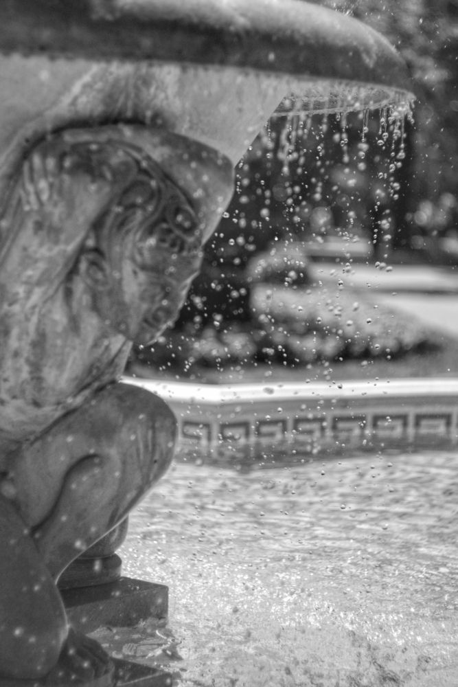 Photograph by Magic Helios