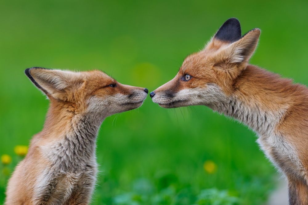 Photograph by Антон Науменко