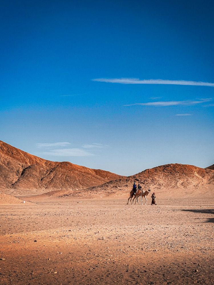 Photograph by Иван Весельников