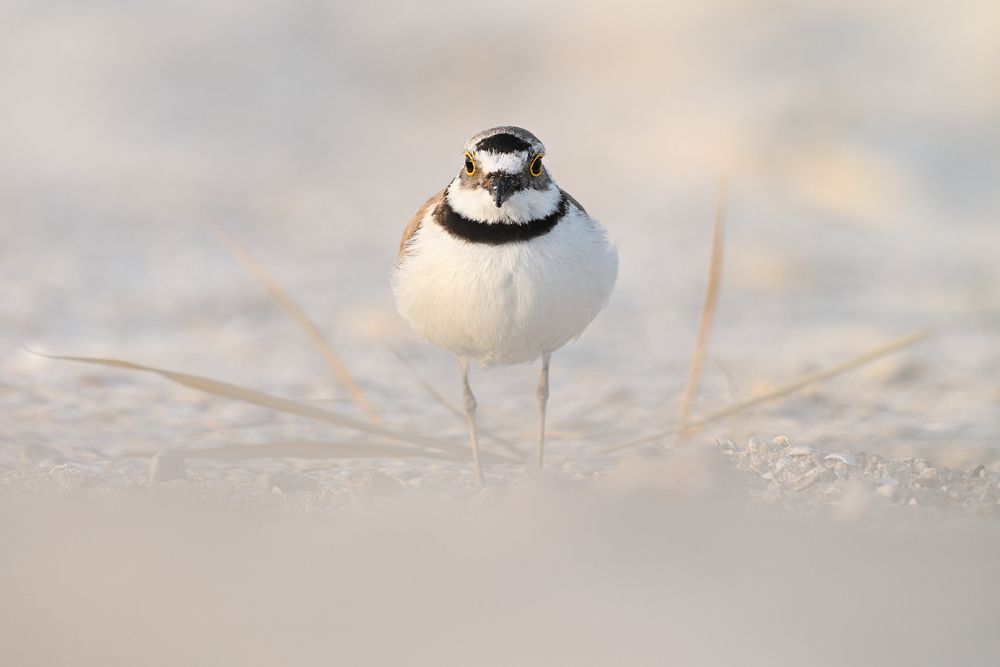 Photograph by Анатолий Садовский