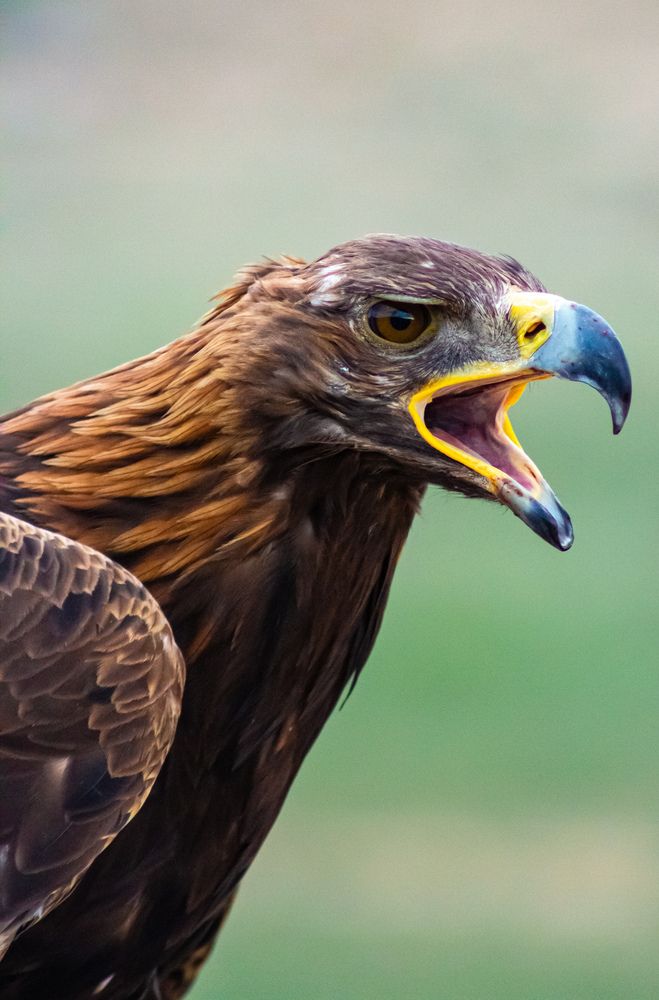 Фотография автора Денис Мартыновский