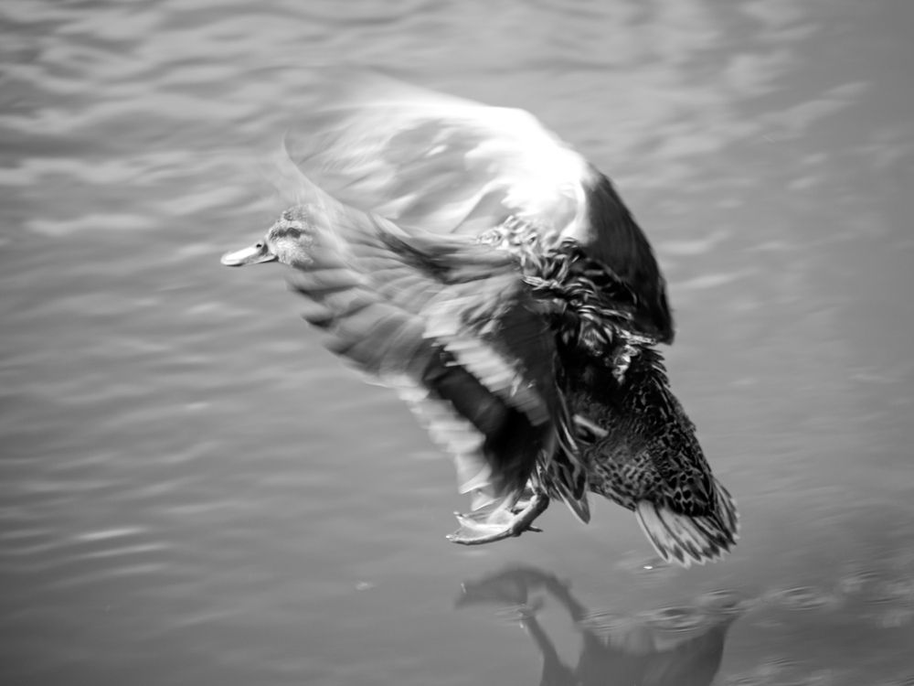 Photograph by Георгий Юркин