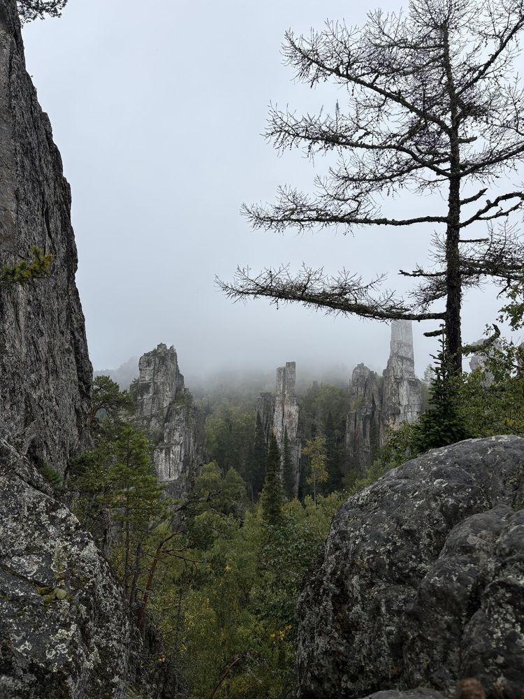 Инзерские зубчатки